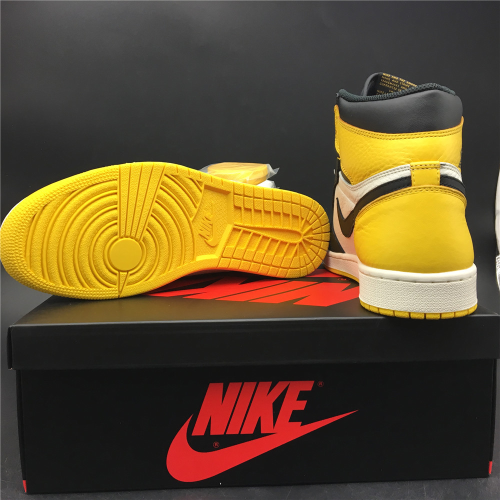 jordan air jordan 1 retro