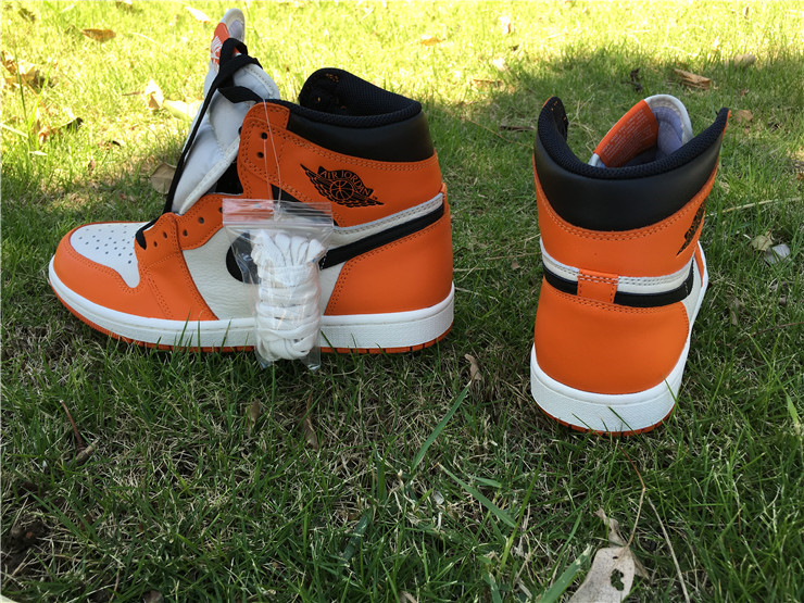 jordan air jordan 1 retro