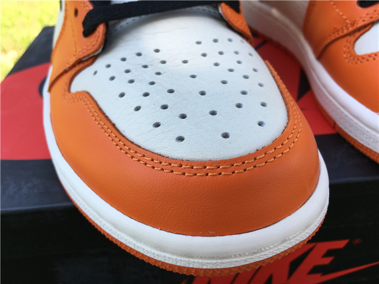 jordan air jordan 1 retro