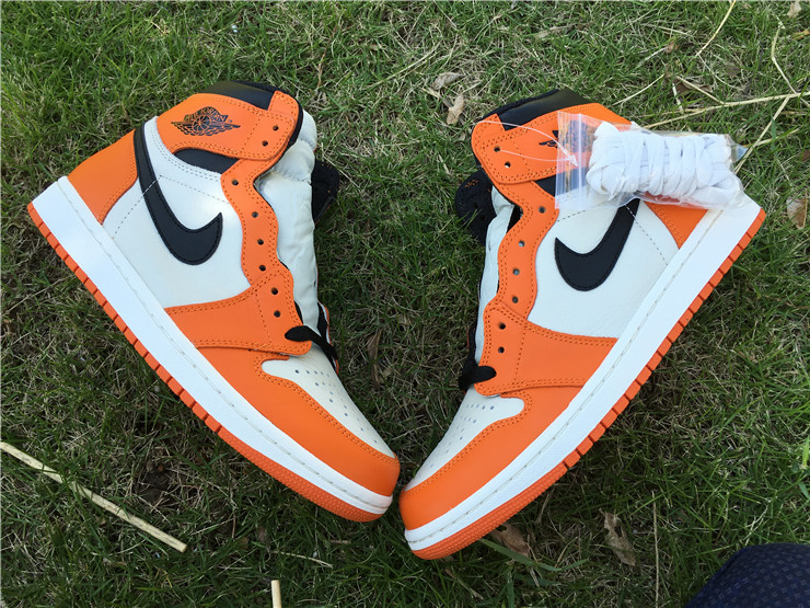 jordan air jordan 1 retro