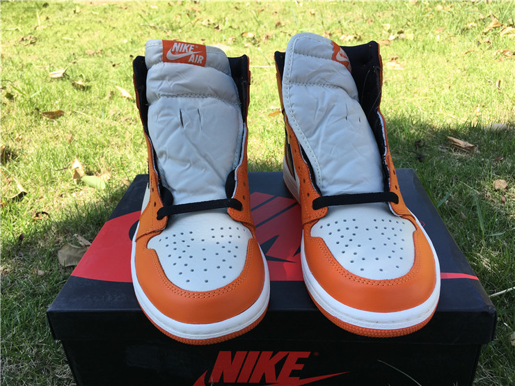 jordan air jordan 1 retro