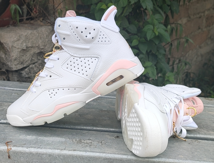 jordan air jordan 6 retro